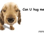 Can U hug me?