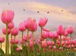 Have a nice day
