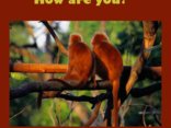 How are you?
