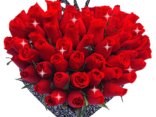 Rosses for You