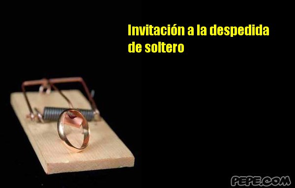 IMAGEN DE DESPEDIDA DE SOLTERO imagen de despedida de soltero: