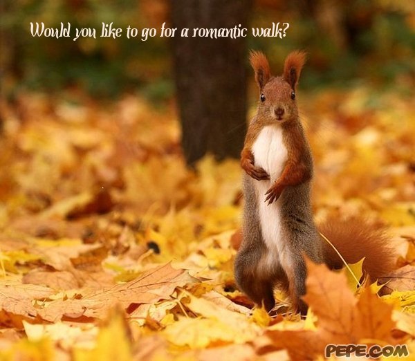 Would you like to go for a romantic walk?