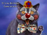 Birthday