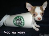 Час на каву