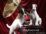 Давай зробимо вечерінку
