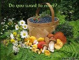 Do you want to meet?