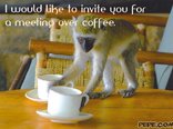 I would like to invite you for a meeting over coffee.