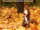 Lust auf einen romantischen Spaziergang?