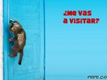 ¿Me vas  a visitar?