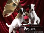 Party time