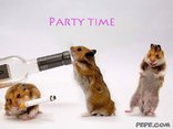 Party time