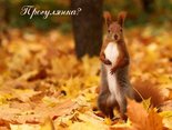 Прогулянка?