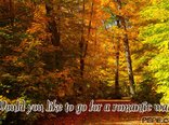 Would you like to go for a romantic walk?