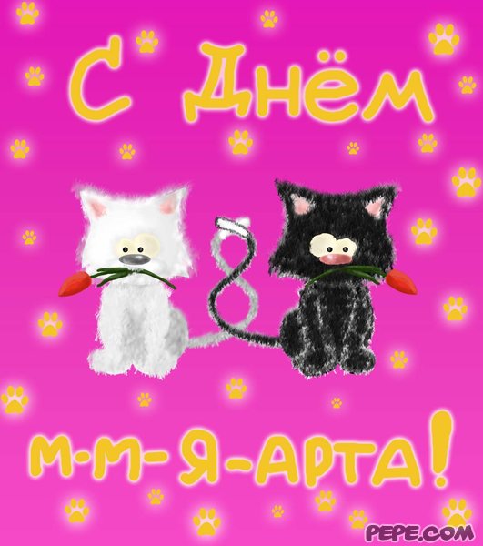 Поговорим о кошках43