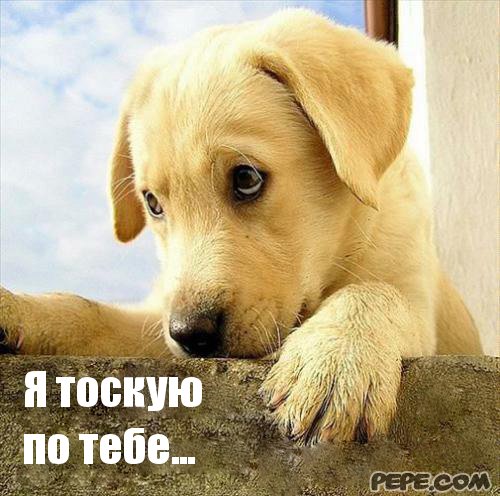 Открытки я тоскую по тебе