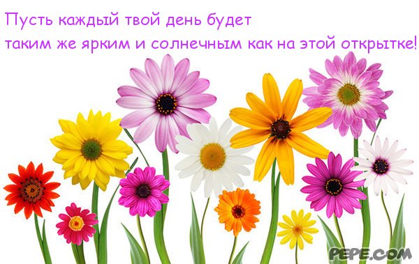 Календарь похудения андроид