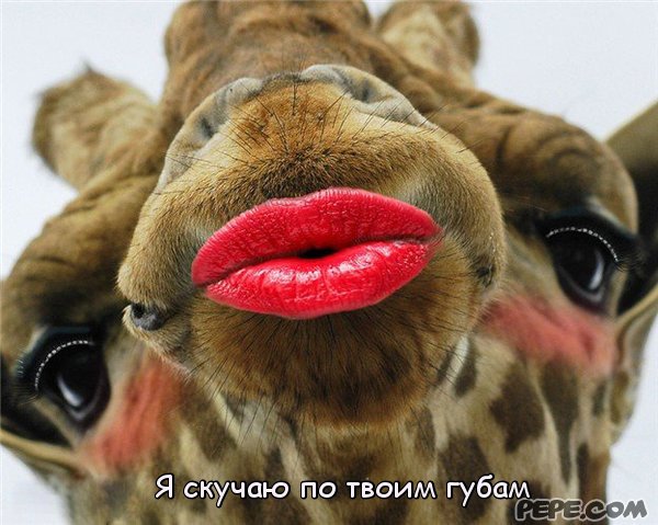 Об открытке приглашение Об открытке приглашение