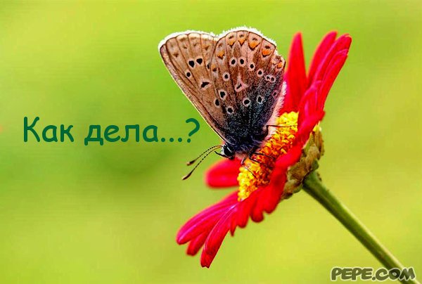 Картинка 152 из 1359