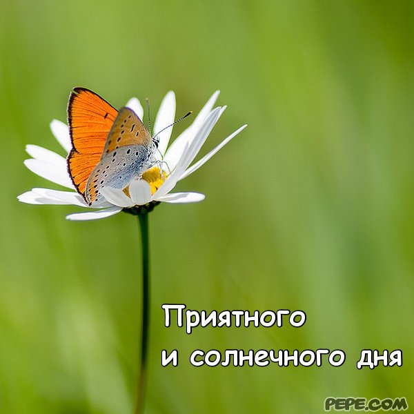 Об открытке приглашение Об открытке приглашение