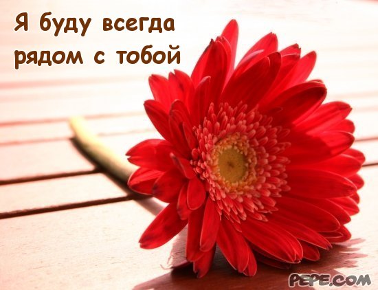Об открытке приглашение Об открытке приглашение
