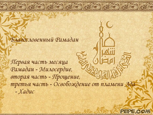Женская одежда Billionaire (Биллионер) - купить в интернет магазине ВЫШИВКА КРЕСТОМ