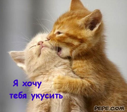 Конкурсы и викторины на день рождения для взрослых Конкурсы для педагогов бесплатные