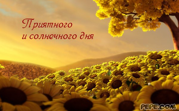 солнечного дня фото
