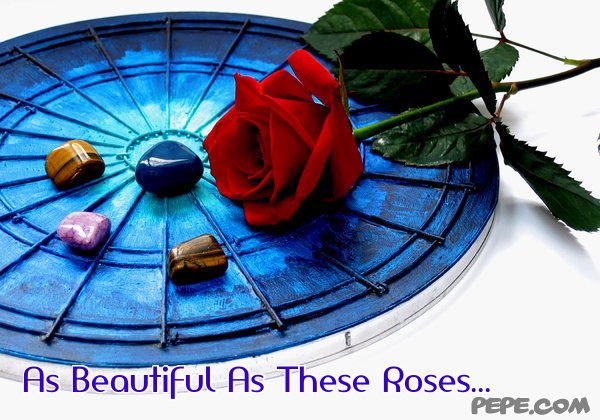 As Beautiful As These Roses...
