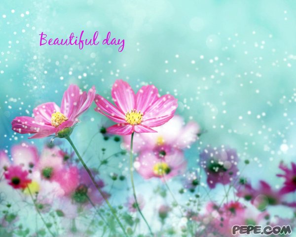 Beautiful day