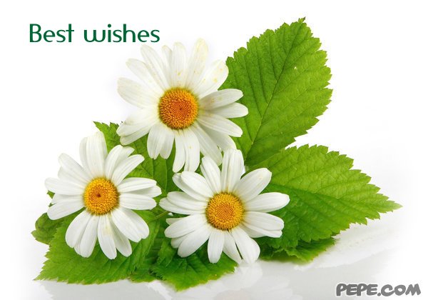 Best wishes