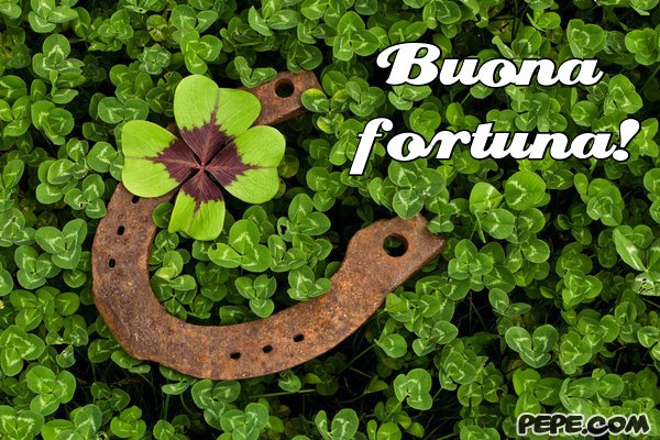 buona_fortuna_11.jpg