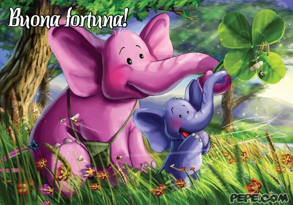 buona_fortuna_4.jpg