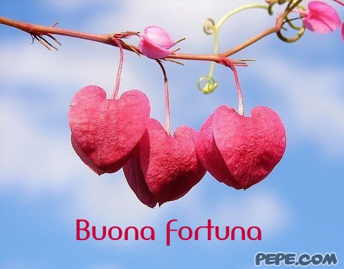 buona_fortuna_6.jpg