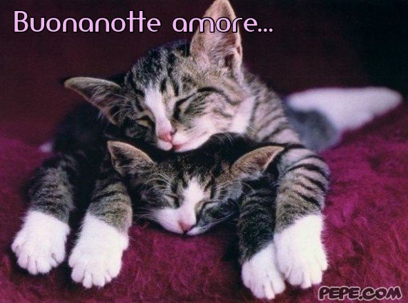 buonanotte_amore_2.jpg