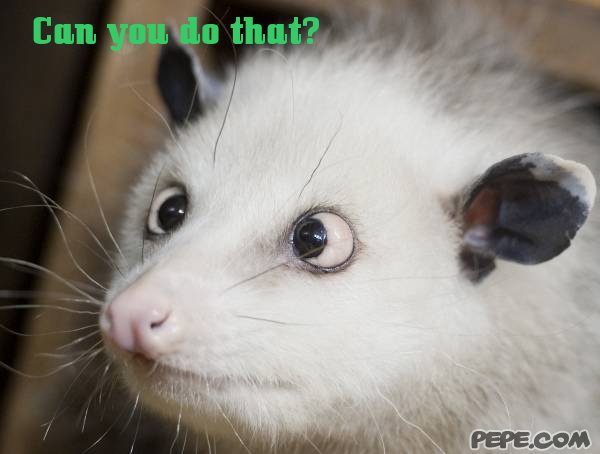 Can you do that?