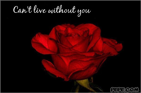 Can't live without you