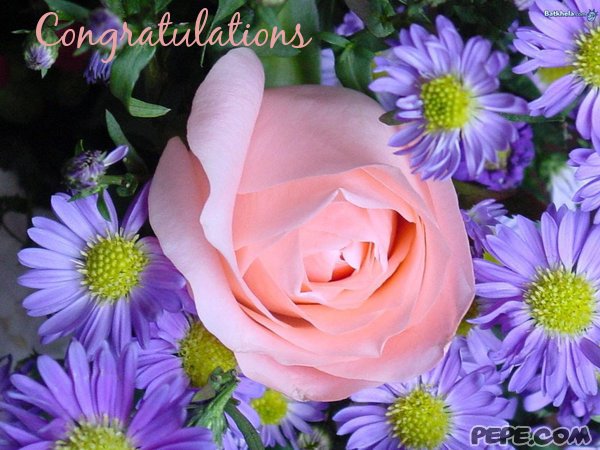 Congratulations