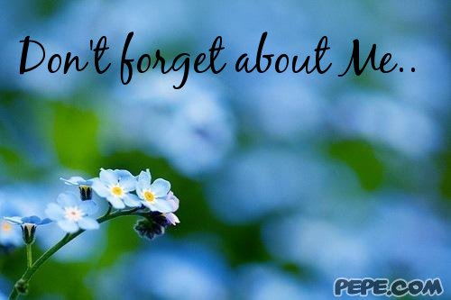 Don't forget about Me..