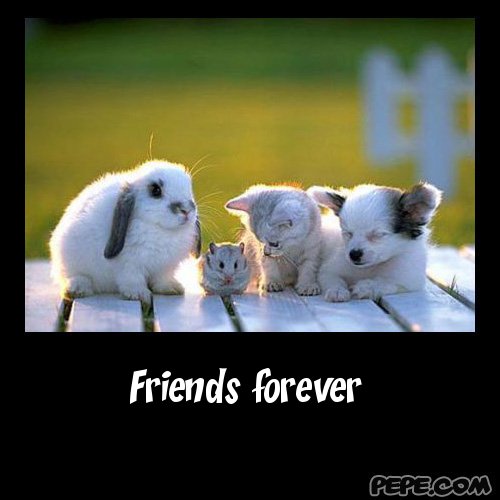 friends forever poems. cute poems for your