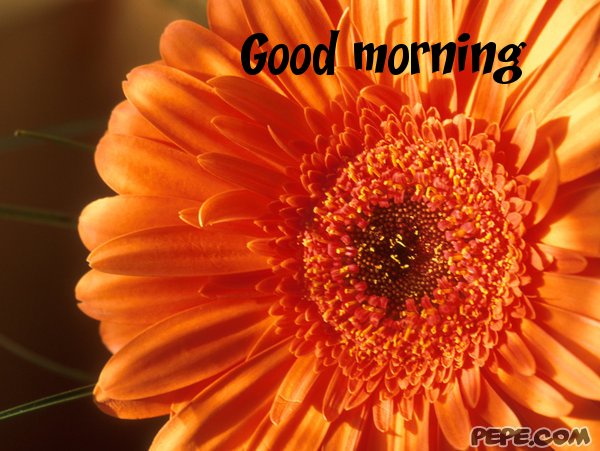Good morning