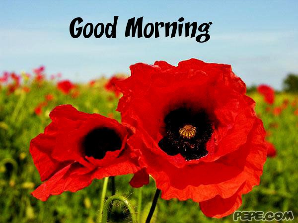 Good morning!