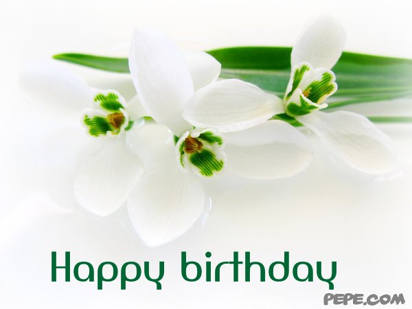 Happy birthday