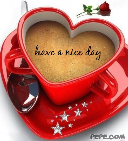 have a nice day