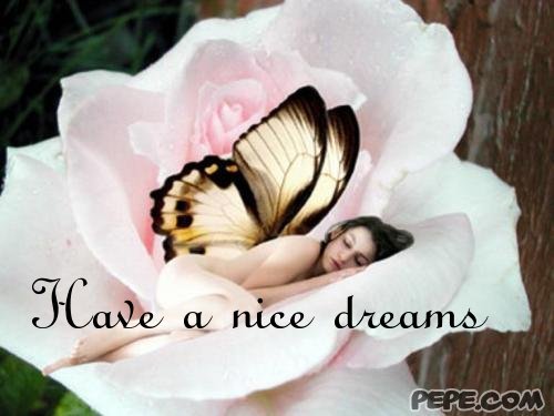 Have a nice dreams