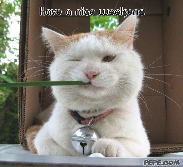 Have A Nice Weekend Greeting Card On PEPE