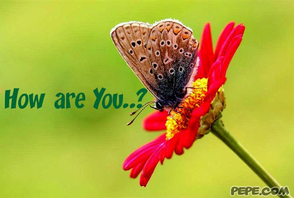 How are You..?