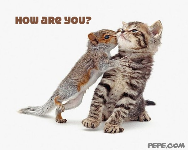 How are you?