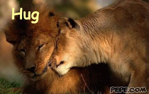 Hug