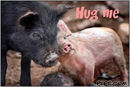 Hug me