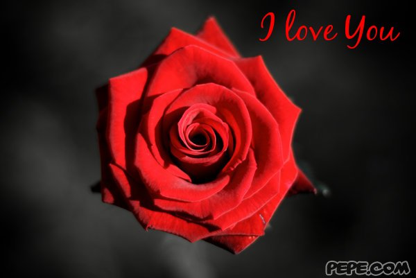 I love You